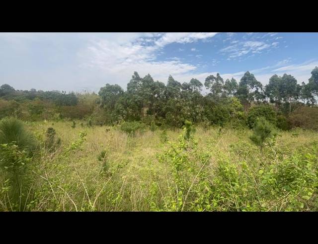 LAND FOR SALE IN ONGOYE